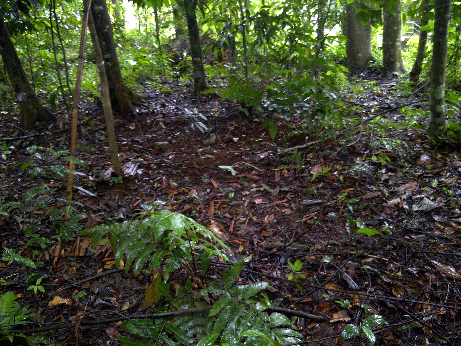 habitat.jpg