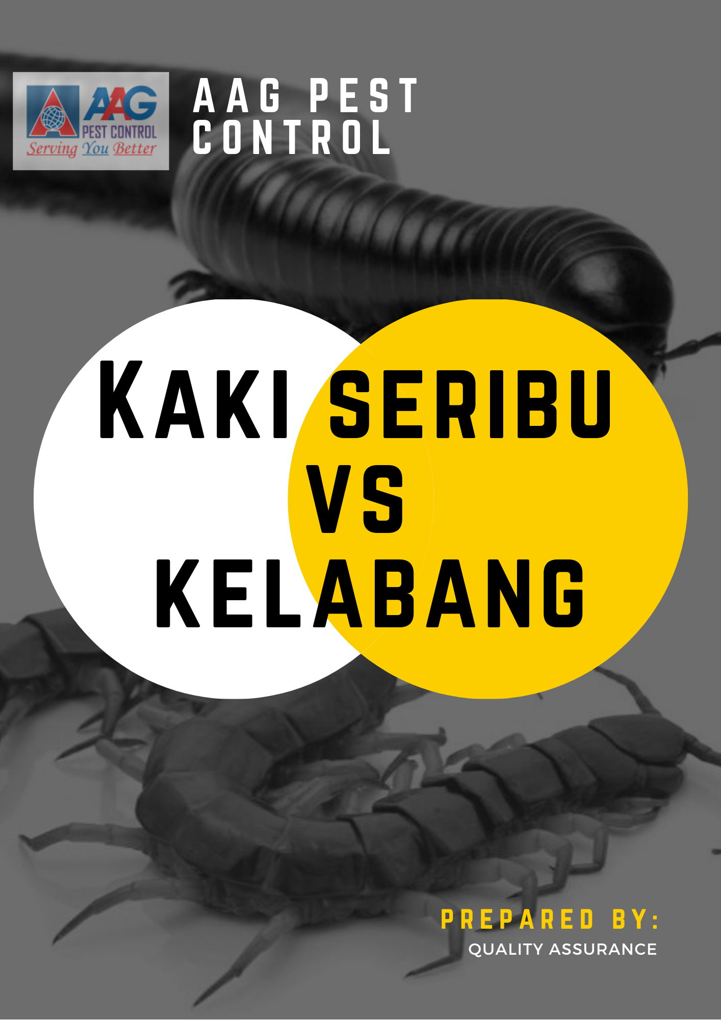 Kelabang vs Kaki seribu Cover.png